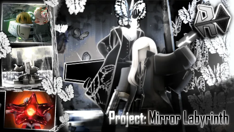 Project Mirror Labyrinth codes